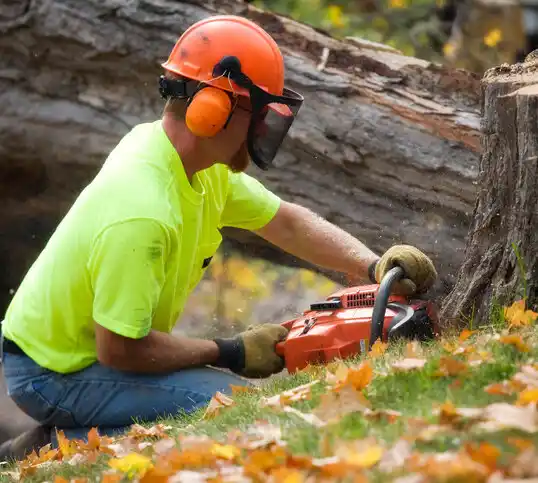 tree services Muskegon